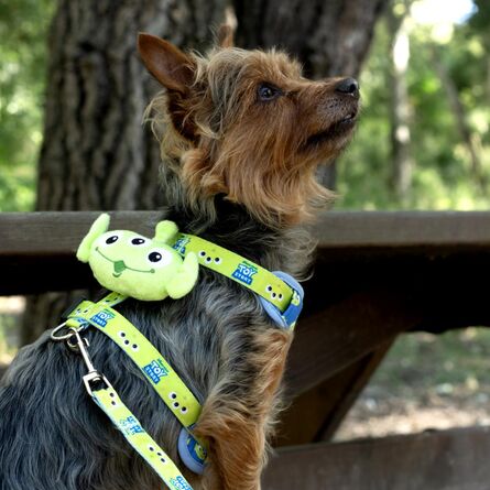 Toy Story Harness & Leash Set