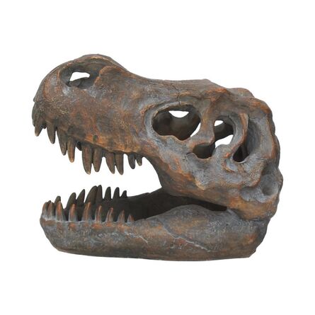 Nemesis Now: Tyrannosaurus - Rex Skull Freestanding (16cm) (D1245D5)