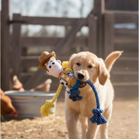 Toy Story Woody Dog Rope Toy