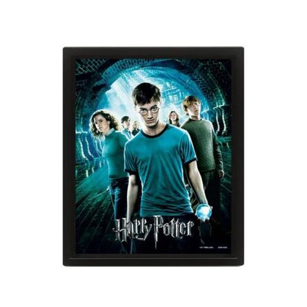 Κάδρο Harry Potter The Order of The Phoenix