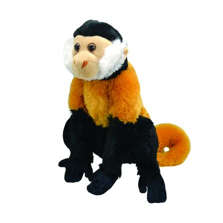 Λούτρινο K8190 Capuchin Monkey 25cm