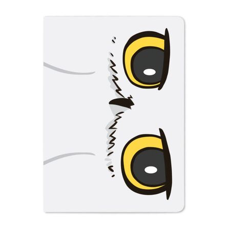 Σημειωματάριο Harry Potter Hedwig