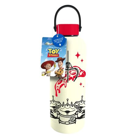 Disney Toy Story Pizza Planet Metal WaterBottle with Carry Loop