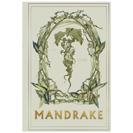 Τετράδιο Harry Potter Soft Cover Mandrake