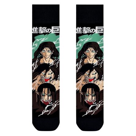 Attack on Titan Socks