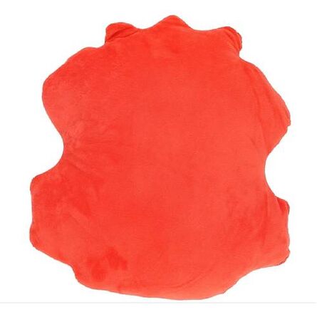 Μαξιλάρι Harry Potter Crest