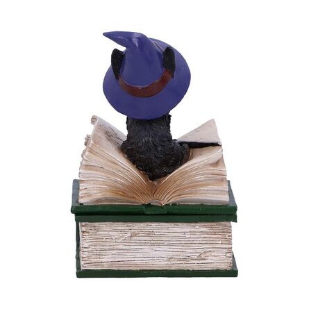 Φιγούρα Nemesis Now Adult: Gothic - Binx Figure (11cm)