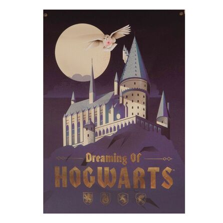 Wall Banner Harry Potter Dreaming Of Hogwarts