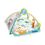 Product AS Baby Clementoni - Play With Me Gym (1000-17247) image