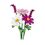 Product LEGO® Botanicals: Cosmos Flowers (11514) image
