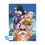 Product Abysse: Dragon Ball - Db/ Kame Team Chibi Poster (52X38) (ABYDCO392) image