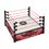 Product Mattel WWE: Main Event Series - Superstar Ring (JDJ20) image