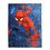 Product Κουβέρτα Marvel Spider Man Flanel image