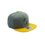 Product Harry Potter Hufflepuff Snapback image