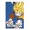 Product Dragon Ball Z Coral Fleece Blanket image
