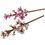 Product LEGO® Botanicals Cherry Blossoms (40725) image