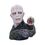 Product Harry Potter Lord Voldemort Bust image