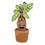 Product Harry Potter Mandrake Sound Plush Toy 25cm image