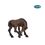 Product Φιγούρα Papo 51114 Lustinian Foal image