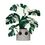 Product Funko Pop! Kawaii Flora - Monstera 10" Jumbo image