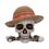 Product One Piece Luffy Jolly Roger Box image