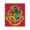 Product Harry Potter Hogwarts Coral Blanket image