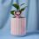Product Γλαστράκι Disney Stitch Planter with 3D Angel & Faux Plant image