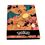 Product Pokemon Charmander Evolution A4 Folder image