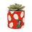 Product Disney Lilo And Stitch Faux Plant image