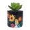 Product Disney Alice In Wonderland Plant Pot image