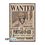 Product One Piece Poster Ace Small image
