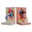 Product Βιβλιοστάτες Marvel Spiderman image