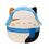 Product Squishmallows Xmas Cam The Cat 19cm image