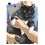 Product Cat + Crazy Volume 3 image
