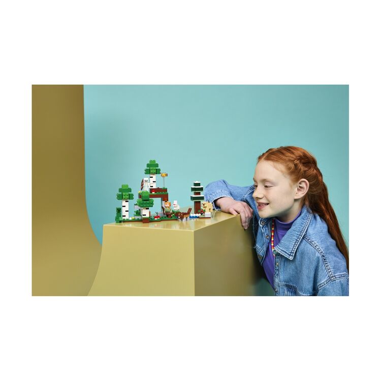 Product LEGO® Minecraft®: First Night Adventure (21593) image
