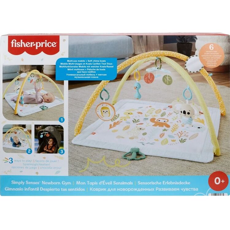 Product Fisher-Price® Simply Senses Newborn Gym (HRB15) image