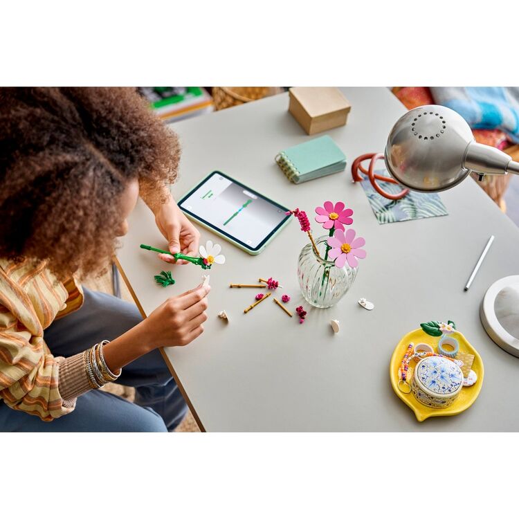 Product LEGO® Botanicals: Cosmos Flowers (11514) image