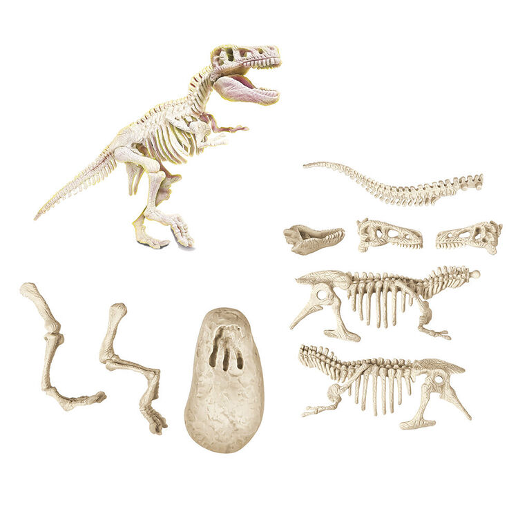 Product Εκπαιδευτικό Παιχνίδι AS Clementoni Μαθαίνω & Δημιουργώ Lab: Δεινόσαυροι - Τυραννόσαυρος (1026-63413) image