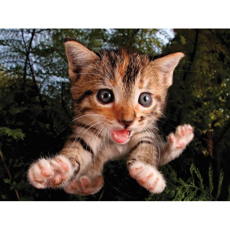 Product Παζλ 3D 10404 Fuzzbucket 500 Κομμάτια image