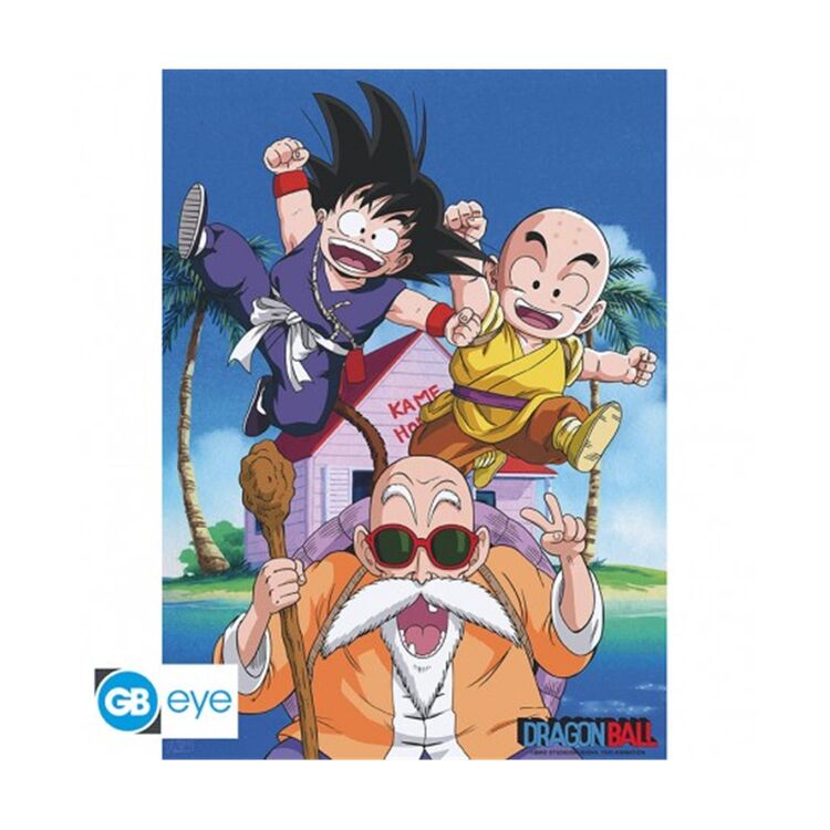 Product Abysse: Dragon Ball - Db/ Kame Team Chibi Poster (52X38) (ABYDCO392) image