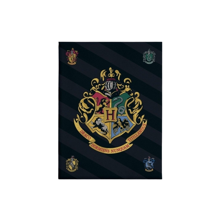 Product Harry Potter Fleece Blanket Hogwarts image