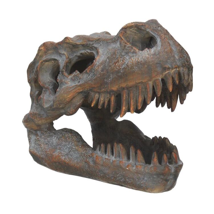 Product Nemesis Now: Tyrannosaurus - Rex Skull Freestanding (16cm) (D1245D5) image