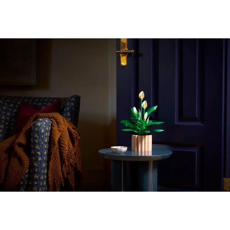 Product LEGO® Botanicals: Peace Lily (11504) image