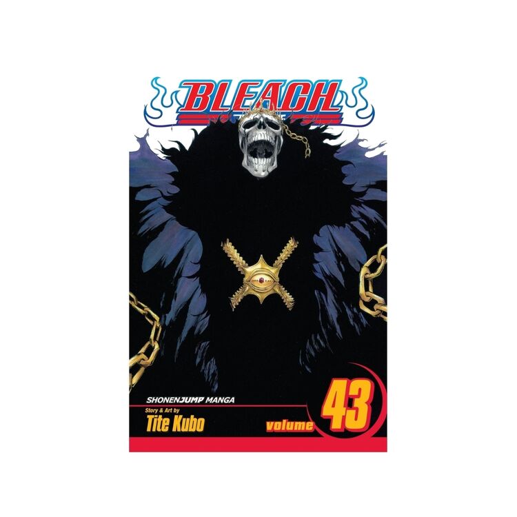 Product Bleach Vol.43 image