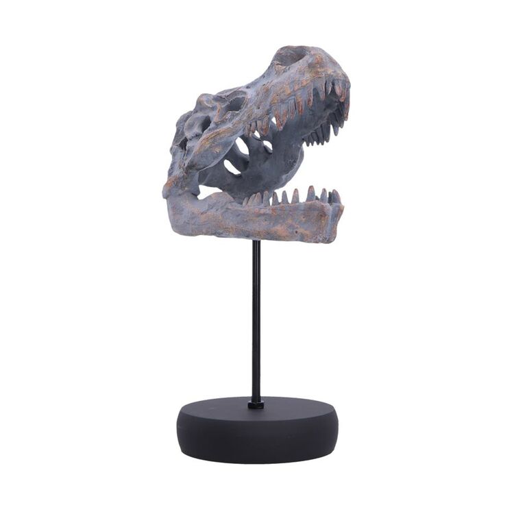 Product Φιγούρα Nemesis Now: Tyrannosaurus Rex Skull on Plinth image