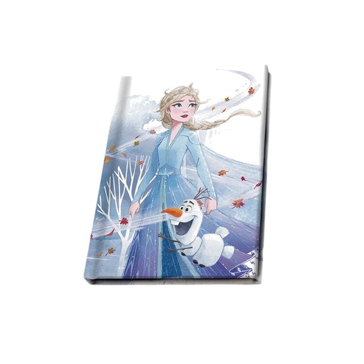 Product Disney Frozen Gift Set image