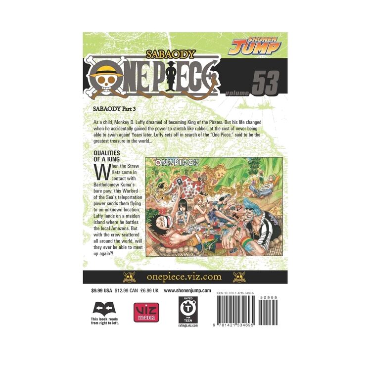 Product One Piece Vol.53 image