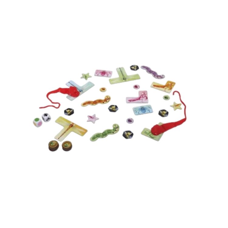 Product Επιτραπέζιο Παιχνίδι ZITO! Χαμαιλέοντες Πειναλέοντες image