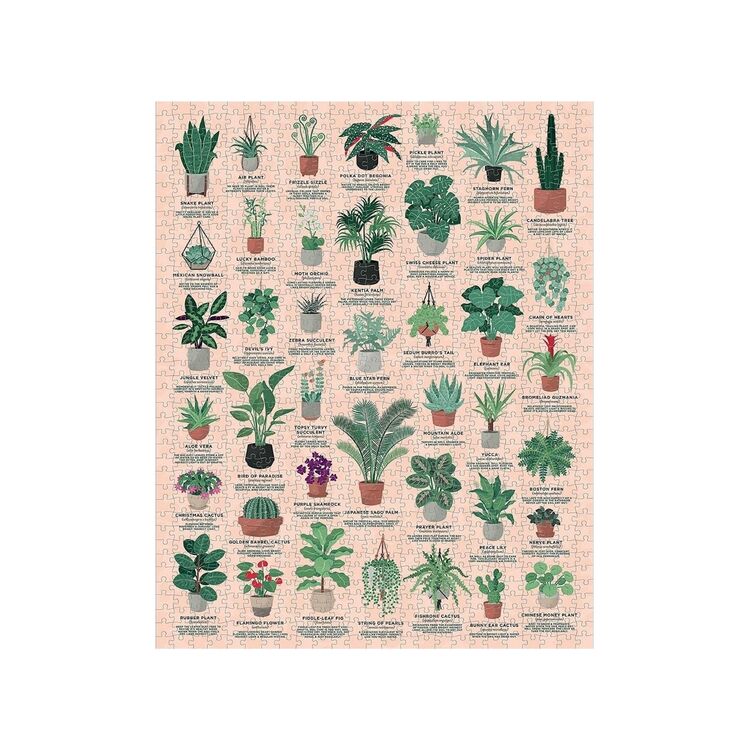 Product House Plants 1000 Piece Jigsaw Puzzle image