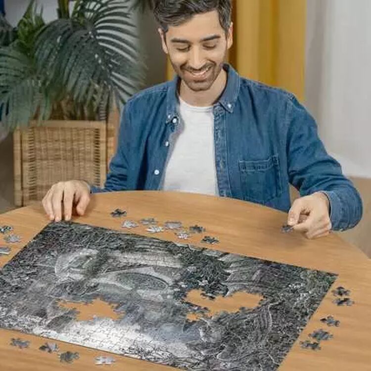 Product Παζλ Ravensburger Escape Puzzle: Midnight in the Garden (368pcs) (17278) image